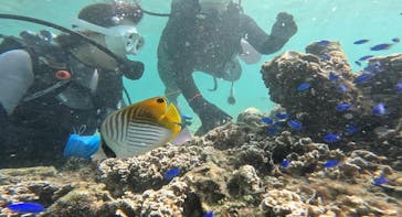 青の洞窟専門店　沖縄ダイビングショップ和に投稿された画像（2023/7/30）