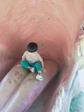 福井県立恐竜博物館に投稿された画像（2023/7/30）