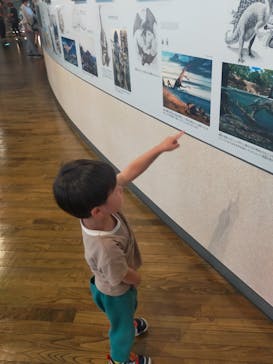 福井県立恐竜博物館に投稿された画像（2023/7/30）