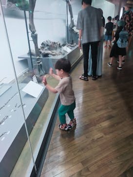 福井県立恐竜博物館に投稿された画像（2023/7/30）