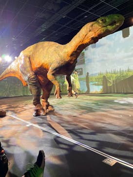 福井県立恐竜博物館に投稿された画像（2023/7/31）