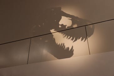 大阪市立自然史博物館に投稿された画像（2023/7/31）