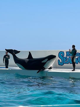 鴨川シーワールドに投稿された画像（2023/7/31）