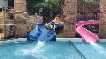 日本モンキーパークに投稿された画像（2023/7/31）