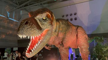 朱鷺メッセに投稿された画像（2023/7/31）