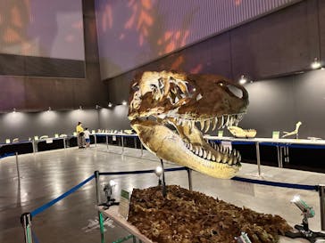 朱鷺メッセに投稿された画像（2023/7/31）