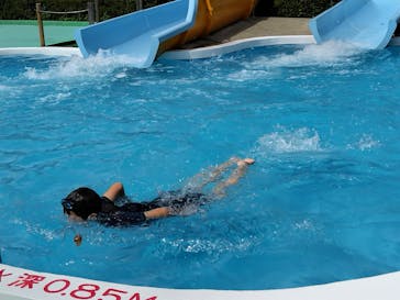 日本モンキーパークに投稿された画像（2023/7/31）