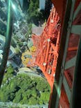 東京タワーに投稿された画像（2023/7/31）