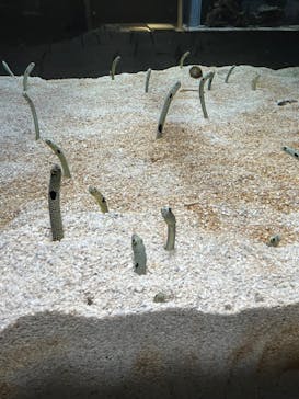 AOAO SAPPOROに投稿された画像（2023/7/31）