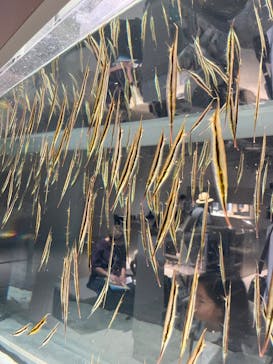 AOAO SAPPOROに投稿された画像（2023/7/31）