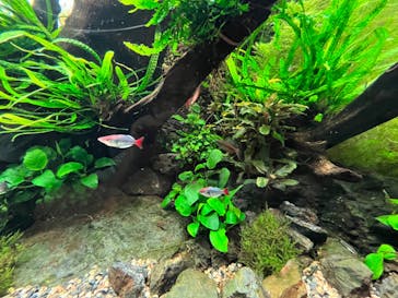 AOAO SAPPOROに投稿された画像（2023/7/31）