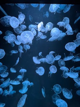 AOAO SAPPOROに投稿された画像（2023/7/31）