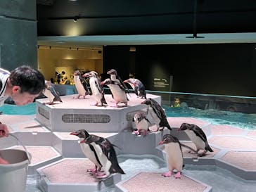 AOAO SAPPOROに投稿された画像（2023/7/31）