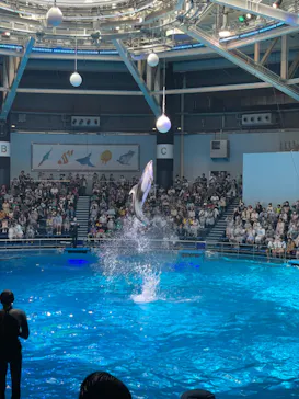 マクセル アクアパーク品川に投稿された画像（2023/7/31）