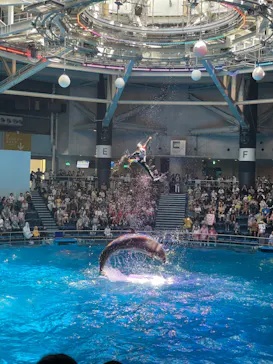 マクセル アクアパーク品川に投稿された画像（2023/7/31）