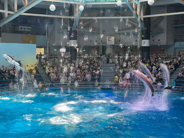 マクセル アクアパーク品川に投稿された画像（2023/7/31）