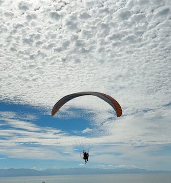 飛亭に投稿された画像（2023/7/31）