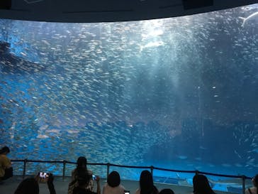 名古屋港水族館に投稿された画像（2023/7/31）