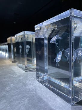 AOAO SAPPOROに投稿された画像（2023/7/31）