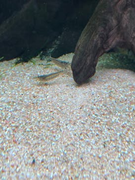 AOAO SAPPOROに投稿された画像（2023/7/31）