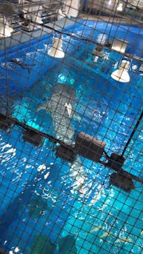 沖縄美ら海水族館に投稿された画像（2023/7/31）