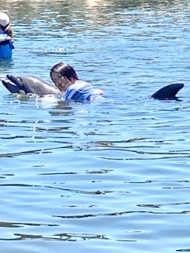 日間賀島ドルフィンビーチに投稿された画像（2023/7/31）