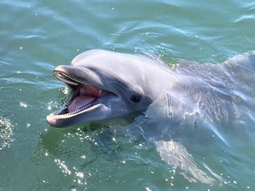 日間賀島ドルフィンビーチに投稿された画像（2023/7/31）