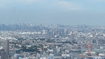 横浜ランドマークタワー 69階展望フロア スカイガーデンに投稿された画像（2023/7/31）