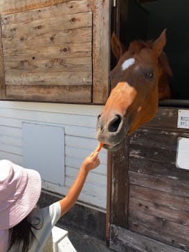 牧歌の里に投稿された画像（2023/7/31）