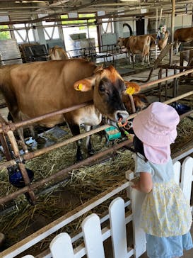 牧歌の里に投稿された画像（2023/7/31）