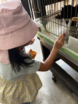 牧歌の里に投稿された画像（2023/7/31）