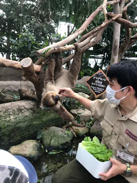 神戸どうぶつ王国に投稿された画像（2023/7/31）