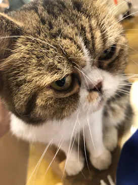 神戸どうぶつ王国に投稿された画像（2023/7/31）