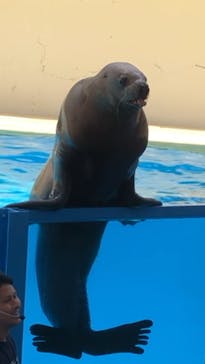 伊豆・三津シーパラダイスに投稿された画像（2023/7/31）