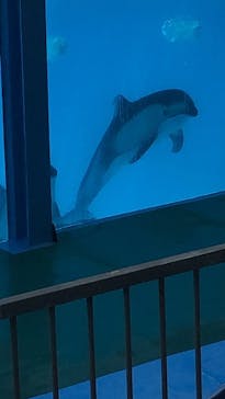 伊豆・三津シーパラダイスに投稿された画像（2023/7/31）