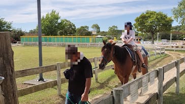 淡路ファームパーク イングランドの丘に投稿された画像（2023/7/31）