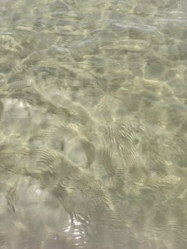 芦屋海浜公園レジャープールアクアシアンに投稿された画像（2023/7/31）