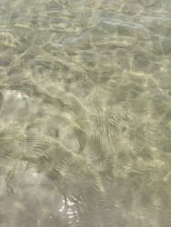 芦屋海浜公園レジャープールアクアシアンに投稿された画像（2023/7/31）