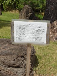 公益社団法人　奈良市観光協会に投稿された画像（2023/7/31）