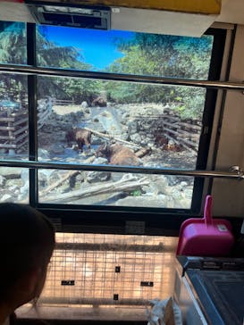 群馬サファリパークに投稿された画像（2023/7/31）