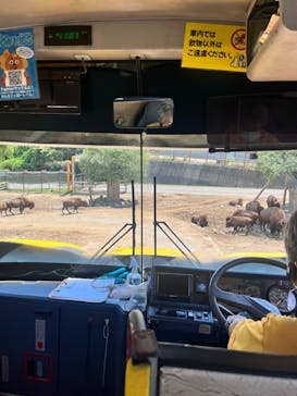 群馬サファリパークに投稿された画像（2023/7/31）