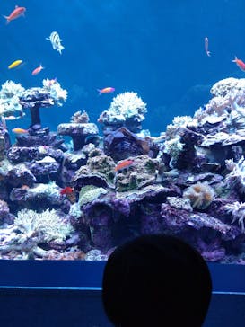 サンシャイン水族館に投稿された画像（2023/7/31）