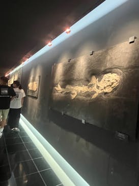 福井県立恐竜博物館に投稿された画像（2023/7/31）