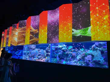 マクセル アクアパーク品川に投稿された画像（2023/7/31）