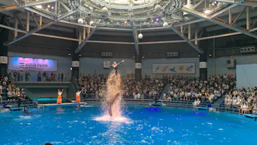 マクセル アクアパーク品川に投稿された画像（2023/7/31）