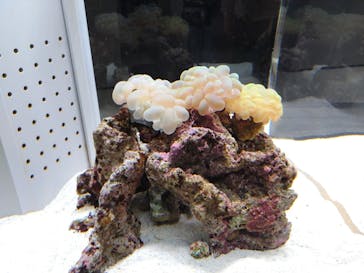 AOAO SAPPOROに投稿された画像（2023/7/31）