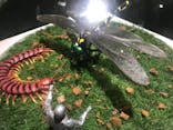 昆虫最強王図鑑展に投稿された画像（2023/7/31）