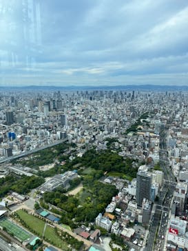 ハルカス300(展望台)に投稿された画像（2023/7/31）