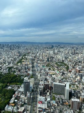 ハルカス300(展望台)に投稿された画像（2023/7/31）