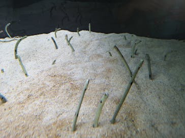 AOAO SAPPOROに投稿された画像（2023/7/31）